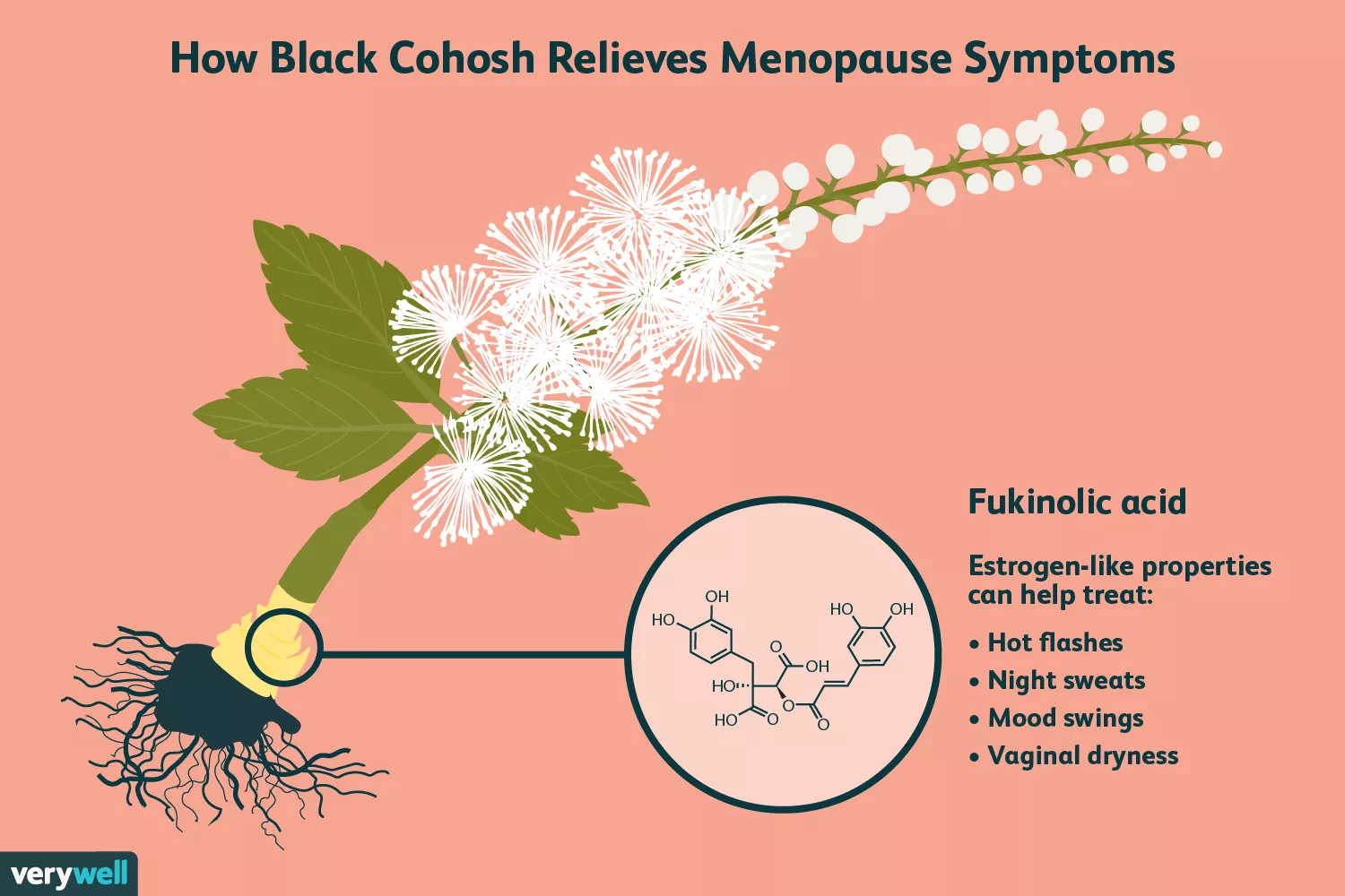 black cohosh